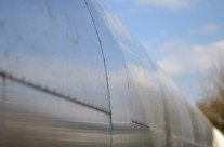 Graso boilers added to RHI ECLIST, up to 1,000Kw.